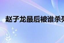 赵子龙最后被谁杀死了（赵云的马叫什么）