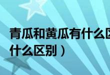 青瓜和黄瓜有什么区别吗图片（青瓜和黄瓜有什么区别）