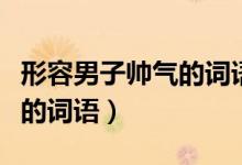 形容男子帅气的词语越多越好（形容男子帅气的词语）