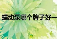 蠕动泵哪个牌子好一点（蠕动泵哪个牌子好）
