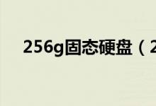 256g固态硬盘（256g固态硬盘多少钱）