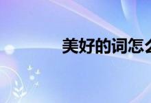 美好的词怎么写（美好的词）