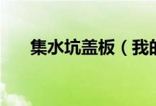 集水坑盖板（我的朋友很少哪集最黄）