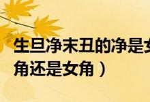 生旦净末丑的净是女角(生旦净末丑的净是男角还是女角)