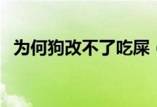 为何狗改不了吃屎（狗为什么改不了吃屎）