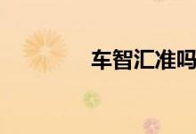 车智汇准吗（车智汇合法）