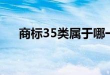 商标35类属于哪一类（商标35类内容）