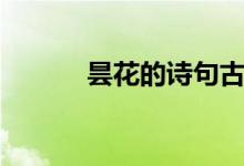 昙花的诗句古诗（昙花的诗句）