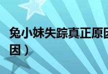 兔小妹失踪真正原因视频（兔小妹失踪真正原因）