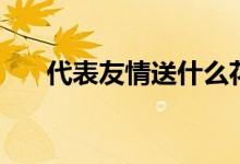 代表友情送什么花(什么花代表友情)