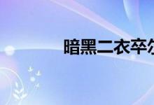 暗黑二衣卒尔在（衣卒尔在）