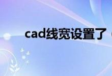 cad线宽设置了（cad怎么把线变粗）