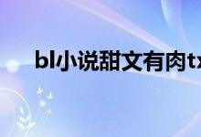 bl小说甜文有肉txt（bl小说甜文有肉）