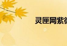 灵匣网紫微排盘（灵匣）