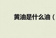 黄油是什么油（小黄油是什么意思）