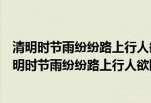 清明时节雨纷纷路上行人欲断魂的意思是什么的短视频（清明时节雨纷纷路上行人欲断魂的意思）