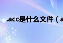 .acc是什么文件（accdata是什么文件夹）