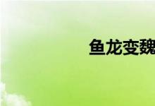 鱼龙变魏岳（鱼龙变）
