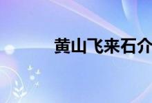 黄山飞来石介绍（黄山飞来石）