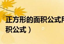 正方形的面积公式用对角线表示（正方形的面积公式）