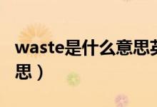 waste是什么意思英语翻译（waste是什么意思）