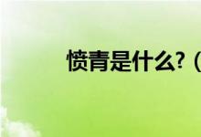 愤青是什么?(愤青是什么意思)