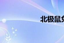 北极鼠兔（北极鼠）