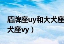 盾牌座uy和大犬座vy哪个大（盾牌座uy和大犬座vy）