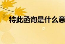特此函询是什么意思（函询是什么意思）