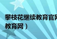 攀枝花继续教育官网（攀枝花市专业人员继续教育网）