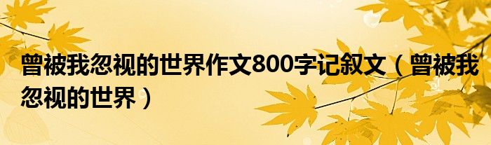 曾被我忽视的世界作文800字记叙文（曾被我忽视的世界）