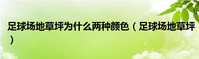 足球场地草坪为什么两种颜色（足球场地草坪）