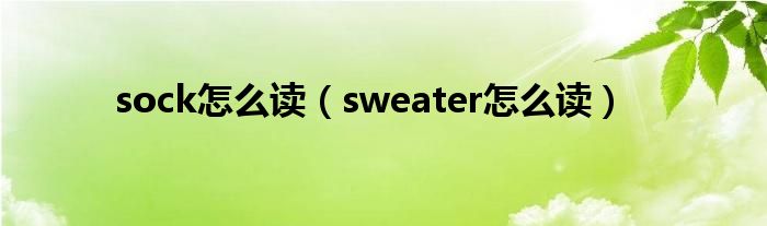 sock怎么读（sweater怎么读）