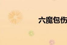 六魔包伤害（六魔包）