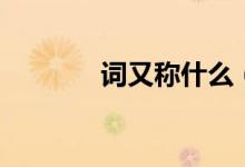 词又称什么（词又称什么词）