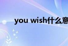 you wish什么意思(wish什么意思)