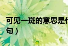 可见一斑的意思是什么（可见一斑的意思和造句）