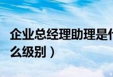 企业总经理助理是什么级别（总经理助理是什么级别）