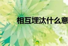 相互埋汰什么意思（埋汰什么意思）