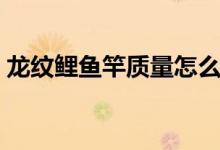 龙纹鲤鱼竿质量怎么样（龙纹鲤鱼竿怎么样）