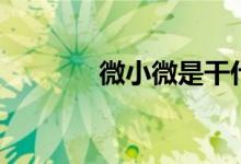 微小微是干什么的（微小微）