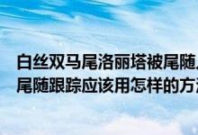 白丝双马尾洛丽塔被尾随入室嘿嘿全程高能（检验是否有人尾随跟踪应该用怎样的方法行走）
