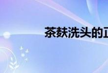 茶麸洗头的正确方法(茶麸)