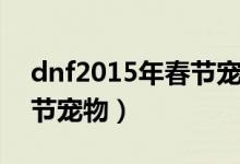 dnf2015年春节宠物有什么（dnf2015年春节宠物）