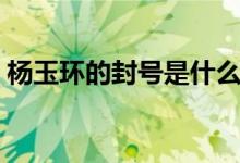 杨玉环的封号是什么王者荣耀（杨玉环封号）