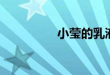小莹的乳液计(小莹姐)