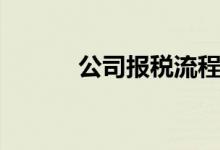 公司报税流程（每月报税流程）