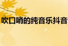 吹口哨的纯音乐抖音bgm（吹口哨的纯音乐）