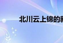 北川云上锦的新书（北川云上锦）