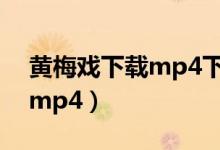 黄梅戏下载mp4下载迅雷下载(黄梅戏下载mp4)